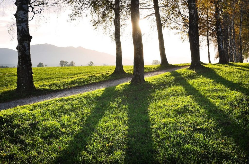 Seniorenbetreuung Spaziergang Seniorenbetreuung Spaziergang